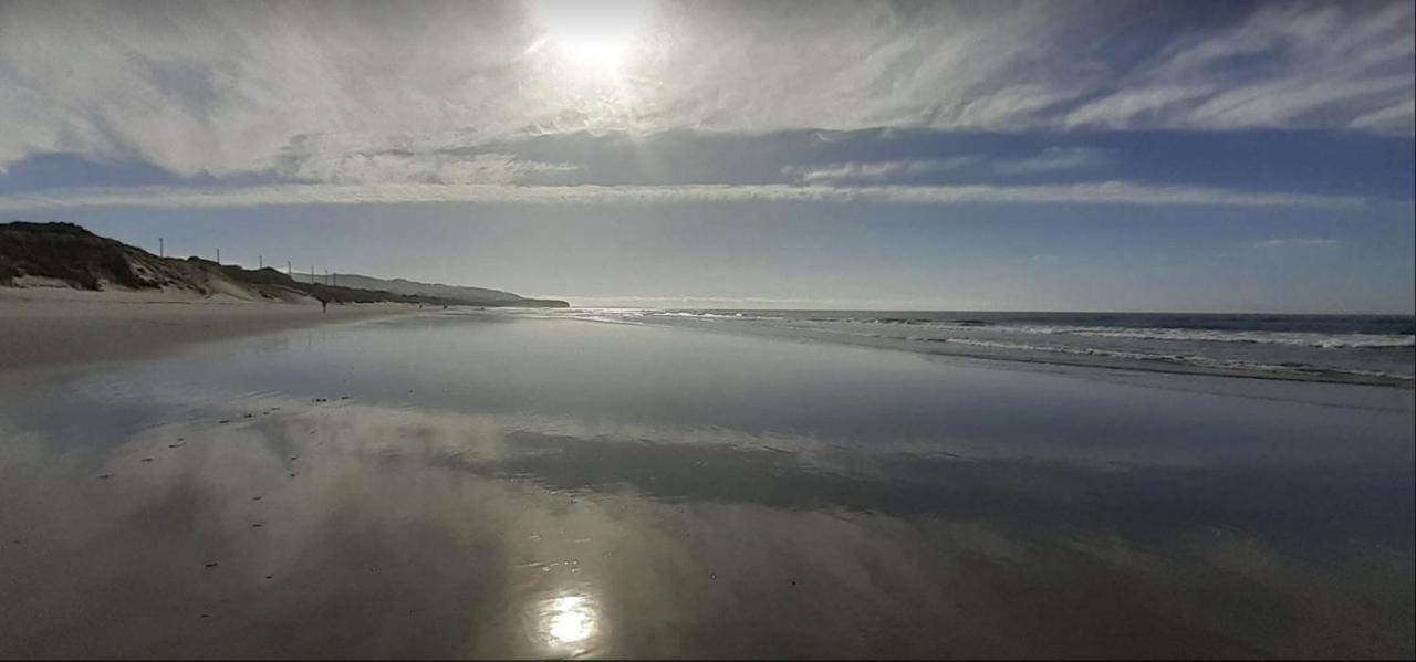 St Clair Holiday House Dunedin Exteriör bild
